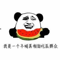吃瓜大全合集,揭秘娱乐圈幕后故事与热点事件